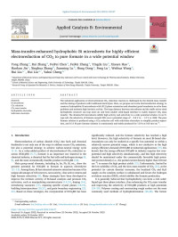 Yong Zhang — Mass-transfer-enhanced hydrophobic Bi microsheets for highly efficient electroreduction of CO2 to pure formate in a wide potential window