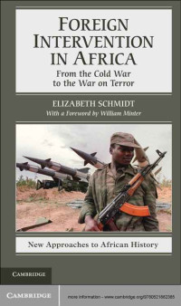 Elizabeth Schmidt — Foreign Intervention in Africa (New Approaches to African History, 7)
