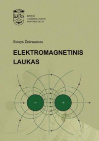 Stasys Žebrauskas — Elektromagnetinis laukas