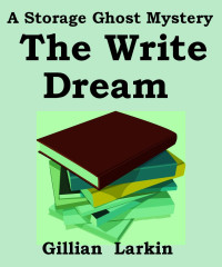 Gillian Larkin — The Write Dream: A Storage Ghosts Mystery