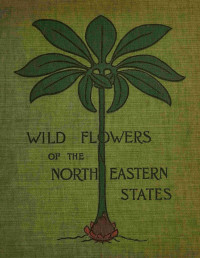 Ellen Miller & Margaret Christine Whiting — Wild flowers of the north-eastern states