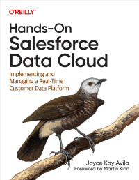 Joyce Kay Avila — Hands-On Salesforce Data Cloud (for True Epub)