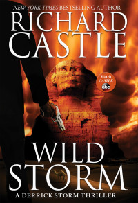Richard Castle — Wild Storm