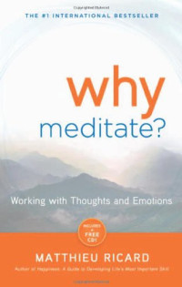 Matthieu Ricard — Why Meditate: Working With Thoughts and Emotions