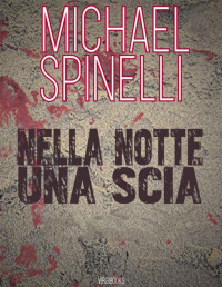 Michael Spinelli — Nella notte una scia