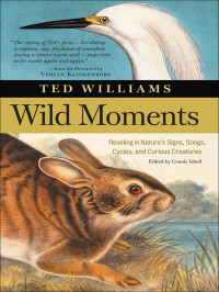 Ted Williams — Wild Moments