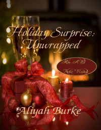 Aliyah Burke [Burke, Aliyah] — Holiday Surprise: Unwrapped