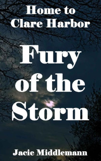 Jacie Middlemann — Fury of the Storm: Clean Contemporary Christian Women's Fiction. (Home to Clare Harbor Book 7)