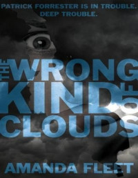 Amanda Fleet [Fleet, Amanda] — The Wrong Kind of Clouds