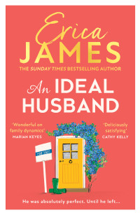 Erica James — An Ideal Husband