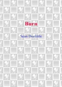 Sean Doolittle — Burn