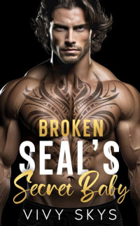 VIVY SKYS — Broken SEAL'S Secret Baby : A Brother's Best Friend Enemies To Lovers Romance (Billionaire Protectors: (The Lanes Series))