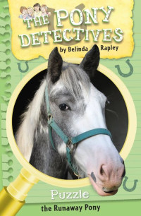 Belinda Rapley — Puzzle: The Runaway Pony