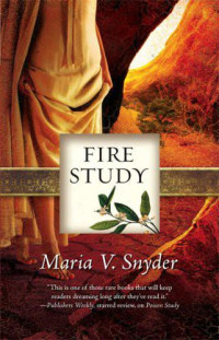 Maria V. Snyder — 03 Fire Study