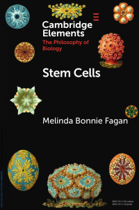 Melinda Bonnie Fagan — Stem Cells