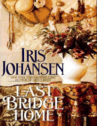Iris Johansen — Last Bridge Home