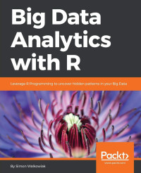 Simon Walkowiak — Big Data Analytics with R