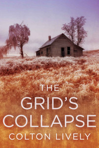 Colton Lively — The Grid's Collapse: A Small Town Post Apocalypse EMP Thriller