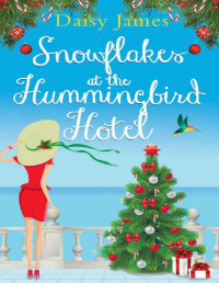 Daisy James — Snowflakes at the Hummingbird Hotel: A gorgeously uplifting festive romcom