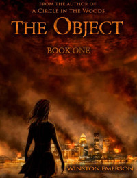 Emerson, Winston — The Object: Book One (Object Series)