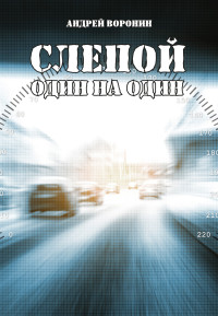 Андрей Николаевич Воронин — Слепой. Один на один