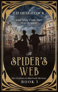 Liz Hedgecock — A Spider's Web