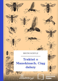 Bruno Schulz — Traktat o Manekinach. Ciąg dalszy