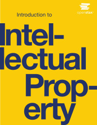 DAVID KLINE, DAVID KAPPOS — Introduction to Intellectual Property