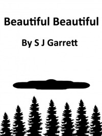 S J Garrett — Beautiful Beautiful