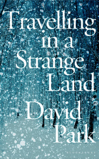 David Park — Travelling in a Strange Land