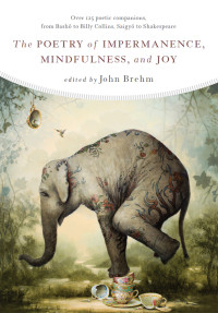 John Brehm — The Poetry of Impermanence, Mindfulness, and Joy