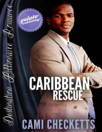 Checketts, Cami [Checketts, Cami] — Caribbean Rescue (Destination Billionaire Romance)