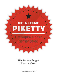 Martin Visser, Wouter van Bergen — De kleine Piketty