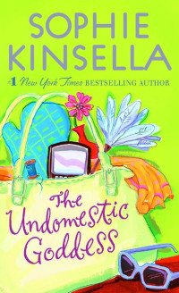Sophie Kinsella — The Undomestic Goddess