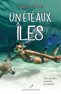 Chantale D'Amours — Un été aux îles