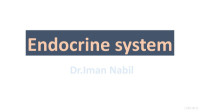 Iman Nabil — Endocrine System