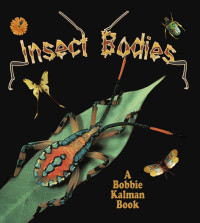 Molly Aloian && Bobbie Kalman — Insect Bodies