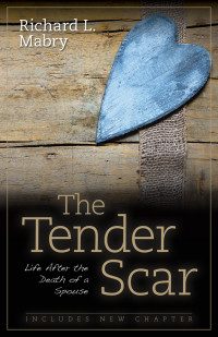 Richard L. Mabry — The Tender Scar