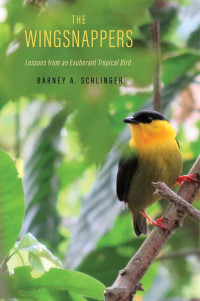 Barney A. Schlinger — The Wingsnappers: Lessons from an Exuberant Tropical Bird