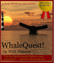 Matt Musson — WhaleQuest!