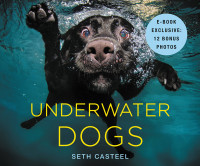 Seth Casteel — Underwater Dogs