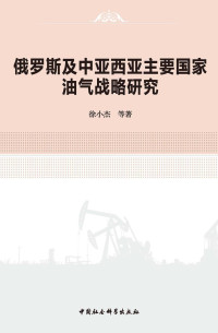 徐小杰、杨丽丽、程覃思、徐立楠 —  俄罗斯及中亚西亚主要国家油气战略研究