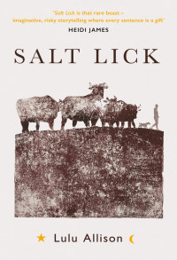 Lulu Allison — Salt Lick