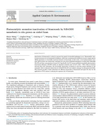 Haiyu Wang — Photocatalytic ozonation inactivation of bioaerosols by NiFeOOH nanosheets in situ grown on nickel foam