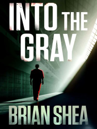 Shea, Brian — Boston Crime Thriller 06-Into the Gray