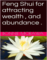 bonnie morawa — Feng Shui for attracting wealth , and abundance .: feng shui book 1 (FENG SHUI Book 1)