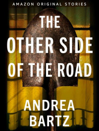 Bartz, Andrea — The Other Side of the Road (Never Tell #3)