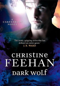 Christine Feehan — Mroczny Wilk