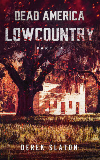 Derek Slaton — Dead America - Lowcountry Pt. 14