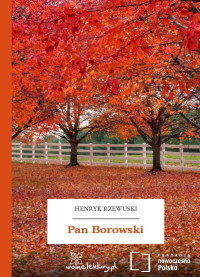 Henryk Rzewuski — Pan Borowski